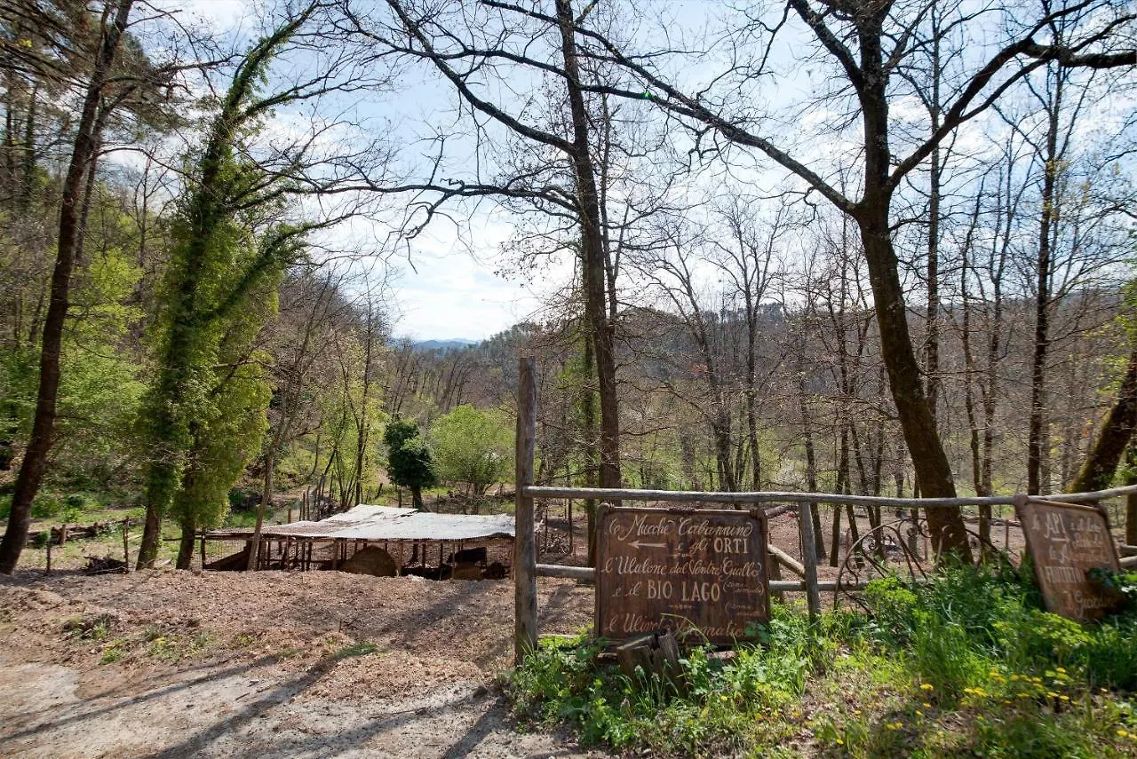アパート Agriturismo Il Filo Di Paglia Carro イタリア